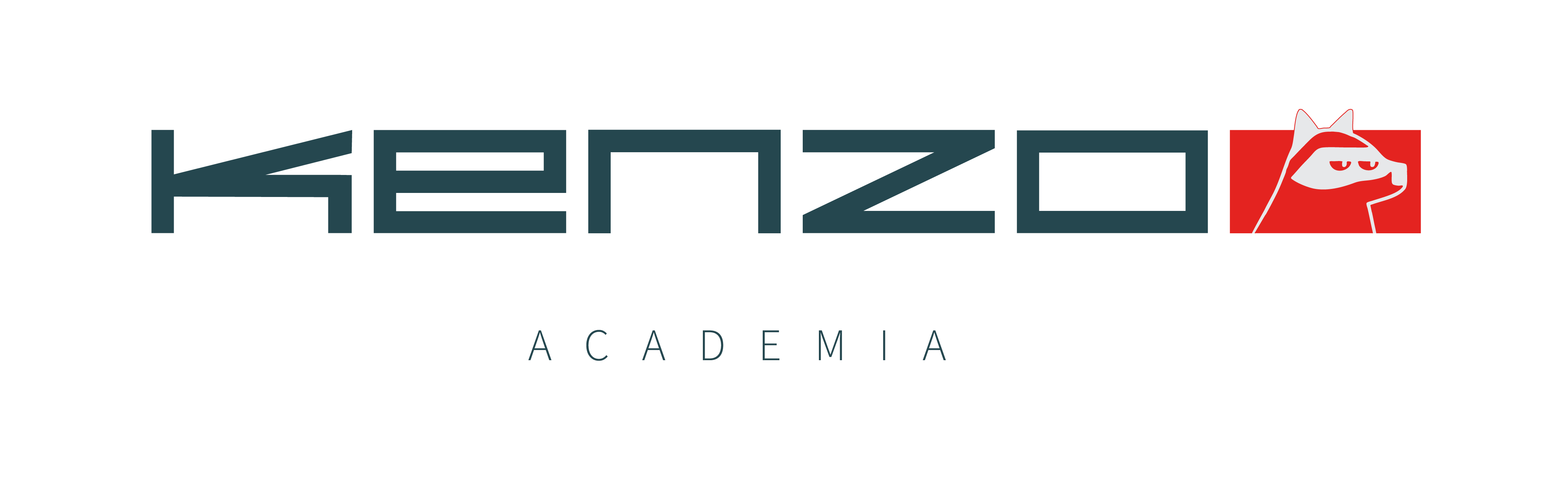 Logo Kenzo Academia